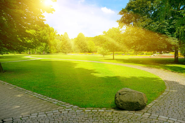 istock Bright sunbeams over beautiful meadow with green grass 1336695986