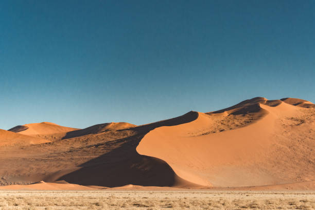 istock Namib-Naukluft National Park 1336696035