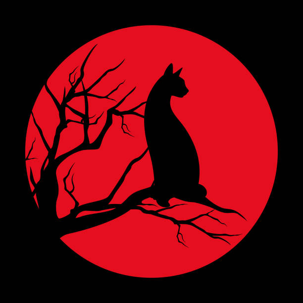 illustrations, cliparts, dessins animés et icônes de chat-sorcière noir assis sur la branche d’arbre nue au contour du vecteur de pleine lune - tree silhouette branch bare tree