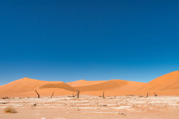 istock Namib-Naukluft National Park 1336700384