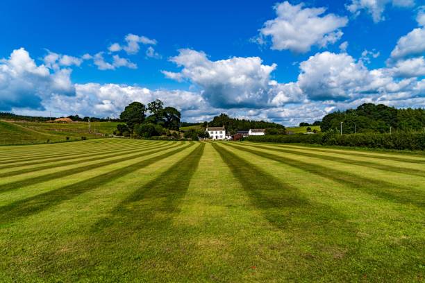 istock A freshly cut school field on a summers day with clouds in the sky 1336700619