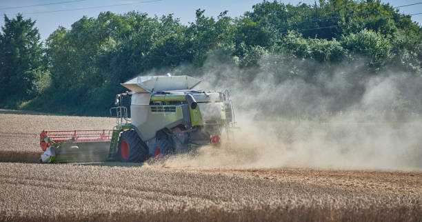 istock Combine harvester in wheat field 1336700729