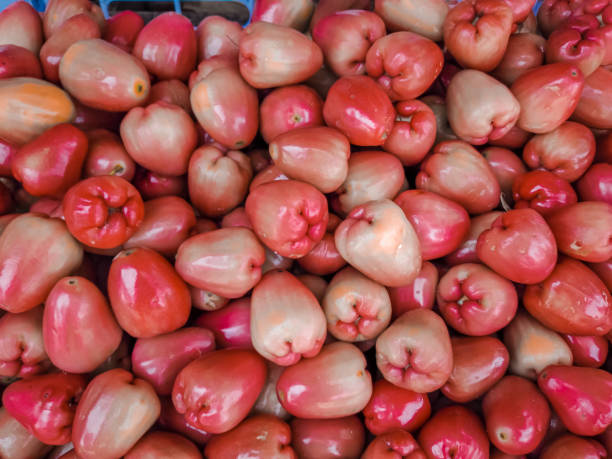 розовое яблоко или явань. крупный план свежих розовых яблочных фруктов для продажи на рынке. - chomphu стоковые фото и изображения