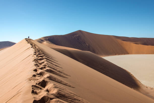 istock Namib-Naukluft National Park 1336702564