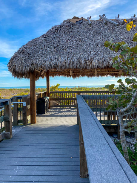 istock Tiki hut near beach 1336702623