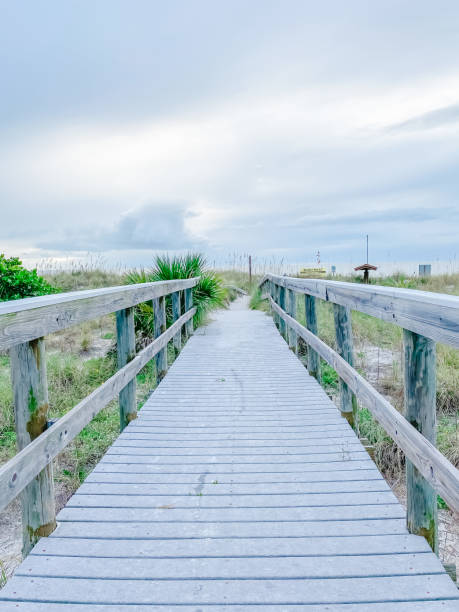istock Wooden boardwalk leading to beach 1336702689