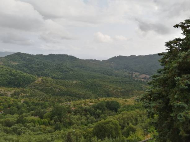 istock Rural Landscape in Southern Italy 1336702988