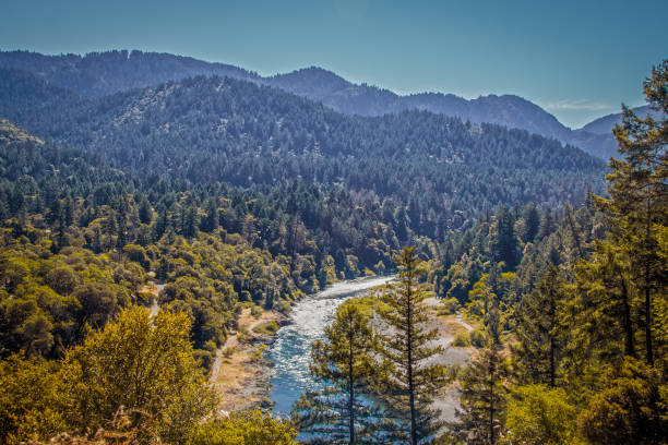 istock Trinity River in Northern California before the 2021 wildfires with rapids and tree covered hills in the background 1336704495
