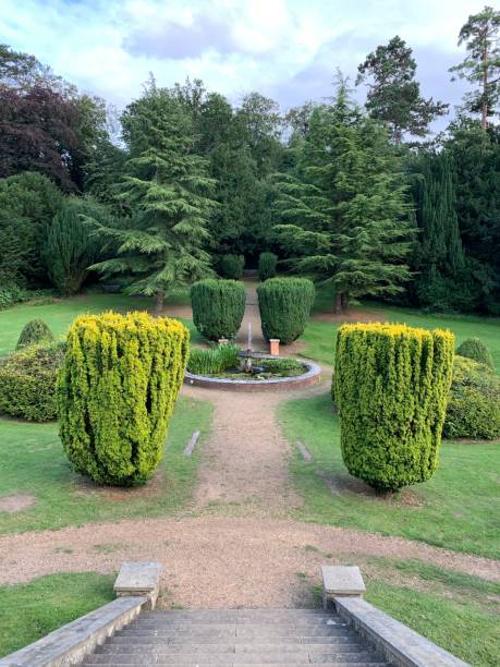 istock A beautiful public English park. 1336705202