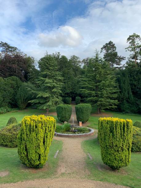 istock A beautiful public English park. 1336705217