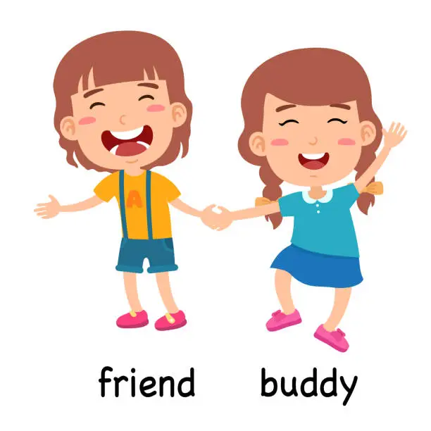 Vector illustration of synonyms friend and buddy