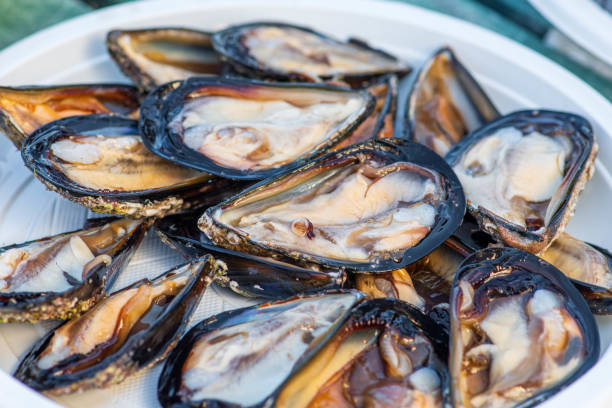 istock Opened by hand black mussels mollusk 1336707494