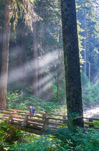 Father, Mother, & Daughter at Sol Duc Falls in the Unique Scenery of the Sol Duc River Valley in the Beautiful Olympic National Park in Western Washington State USA.