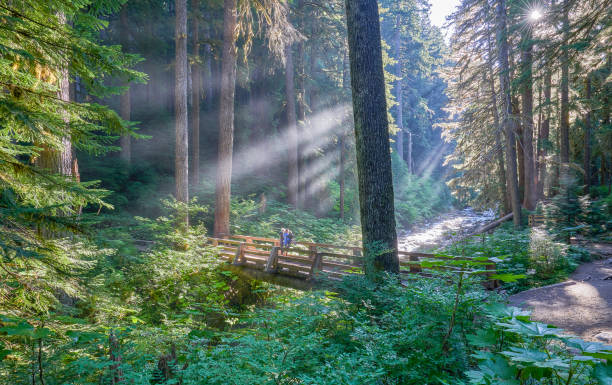 padre, madre e hija en sol duc falls en el paisaje único del valle del río sol duc en el hermoso parque nacional olímpico en el oeste del estado de washington, estados unidos. - olympic national park fotografías e imágenes de stock