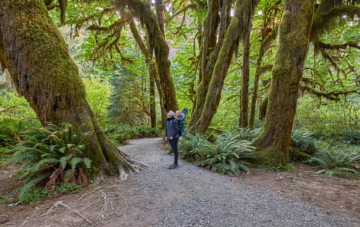 Mother and toddler daughter in the unique scenery of the Hoh Rainforest in the Beautiful Olympic National Park in Western Washington State USA.