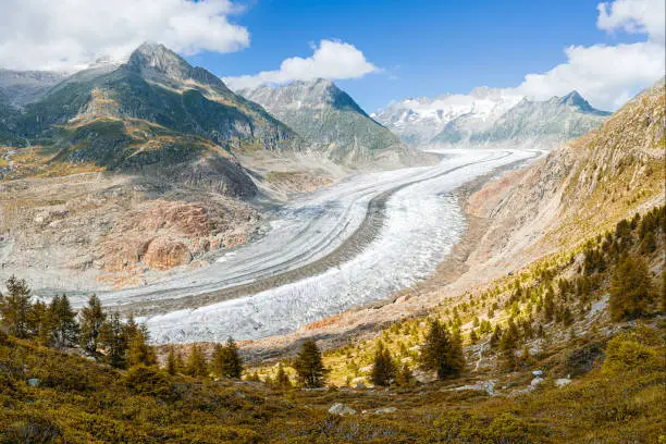 Panorama of the longest glacier in Europe - Aletsch Glacier in the Bernese Canton.
