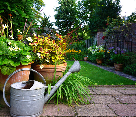 Garden decoration. very cozy picture with iron watering can and wooden ladder. Nice gardening conept of a landscaped rural garden. pure natural.