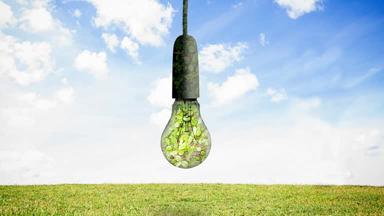 Animation of light bulb full of plants hanging over blue sky and grass