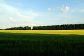 feld-mit-weizen-an-einem-klaren-tag.jpg?b=1&s=170x170&k=20&c=owShpRFyTcZ0V1Qlzj0HqVyu0e1iu8Us64Mm98r8RwA=
