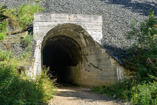 istock mysterious tunnel in the hillside 1336716472