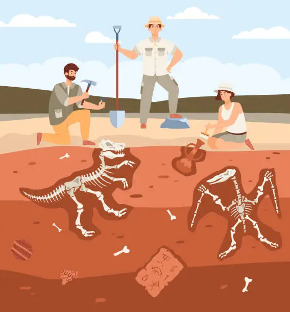 Vector illustration of Scientists archaeologists working on archeology and paleontology excavations.