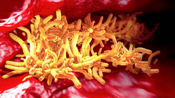 accumulation of tuberculosis bacteria inside pulmonary tract - 3d illustration - bacterial mat stockfoto's en -beelden