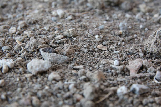 istock Gray soil and small stones 1336721514