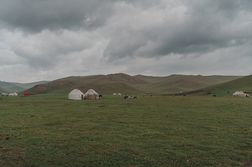 Scenic view of  livestock near yurts near Son-Kul lake in Kyrgyzstan in summer