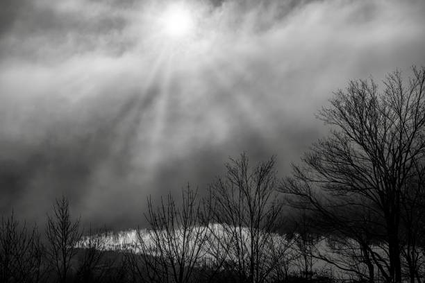 Foggy spring  sunrise at Mono Cliffs Provincial Park, Ontario