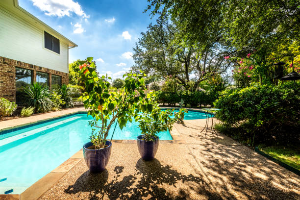 istock Backyard oasis with a swimming pool inside a private residential backyard 1336726871