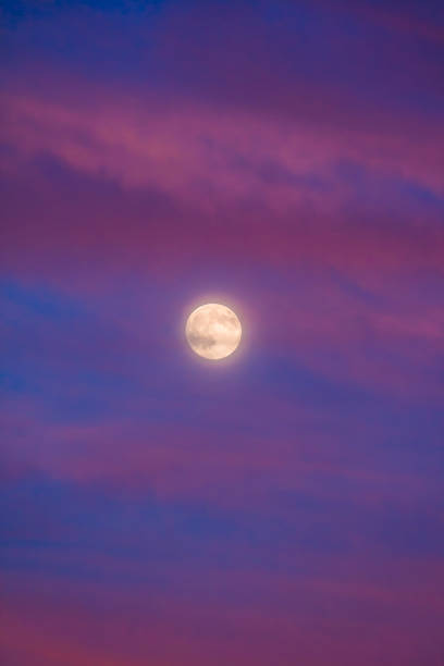istock Perigee Moon (Supermoon) surrounded by purple clouds at sunset 1336726977