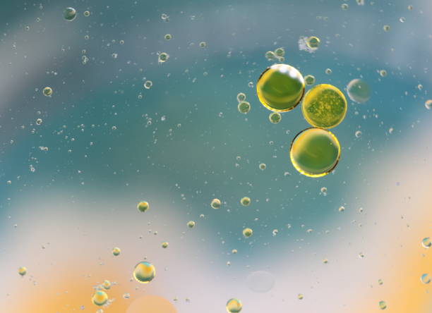 istock Abstract Oil globules in water background 1336740174