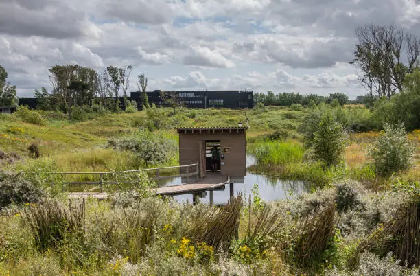 Knokke-Heist, Flanders, Belgium - August 6, 2021: Zwin Nature Reserve. Lookout cabin in pond surrounded by green vegetation under blue cloudscape and Exhibition center on horizon.