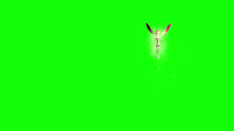 Fairy Flying on Green Screen