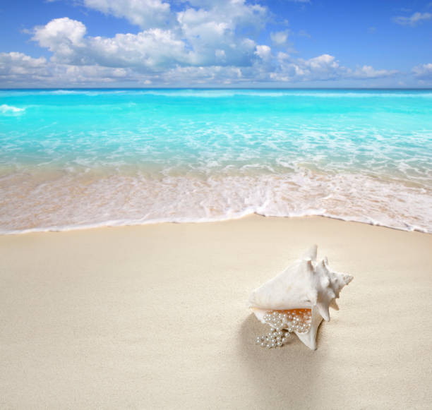 istock beach sand pearl necklace shell summer vacation 1336757729