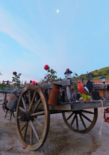istock Flower cart, ranch in Ensenada. 1336766355