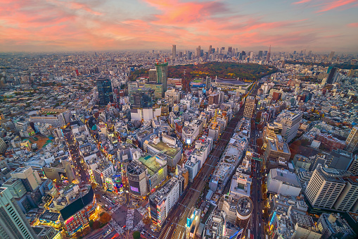 Downtown Tokyo city skyline cityscape of Japan at sunset from above
