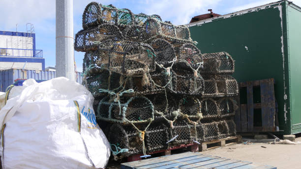 casiers à homard bateaux et équipement de pêche à greencastle harbour co donegal - open country photos photos et images de collection