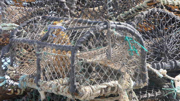 hummertöpfe fischerboote und ausrüstung in greencastle harbour co donegal - open country stock-fotos und bilder