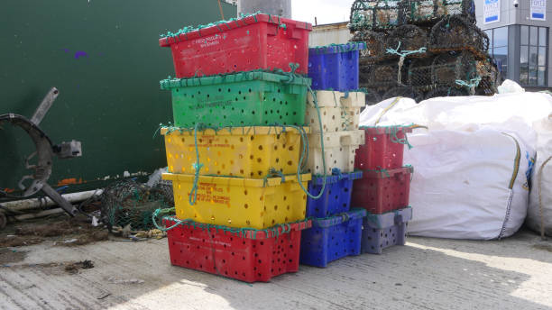 casiers à homard bateaux et équipement de pêche à greencastle harbour co donegal - open country photos photos et images de collection