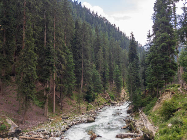 istock Bluewater kalam valley in swat Pakistan 1336793485