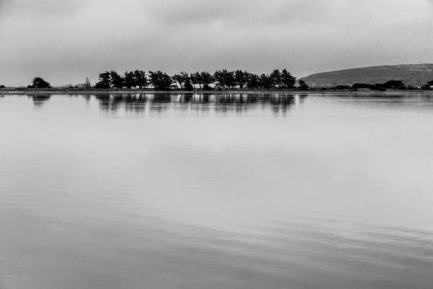 istock Dramatic high contrast black and white image of Bodega bay, California in August with cloudy misty skies. 1336808765