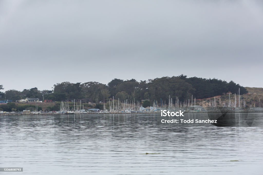 Dramatic image of the marina in bodega bay, California with boats and piers in background and calm still waters in foreground. Dramatic seascape image of boats docked on the bay. Bodega Bay Stock Photo