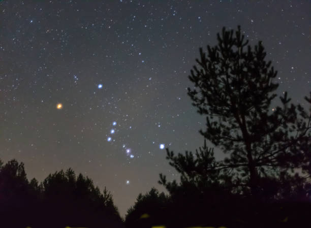 istock Orion constellation on starry sky above forest silhouette, night outdoor scene 1336810099