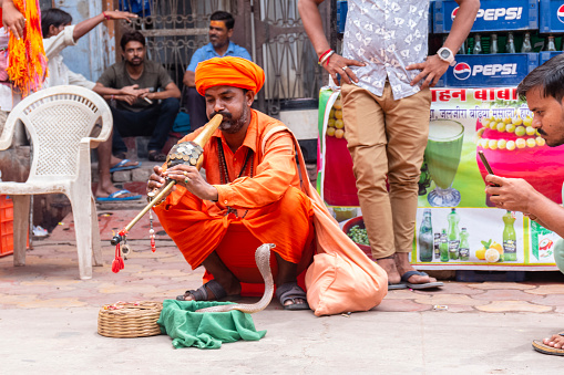 Vrindavan, Uttar Pradesh, India - August 2021: Snake Charmer performing with Indian cobra snake on the streets of vrindavan to entertain people and for his survival.