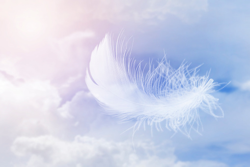 Soft Lightly of White Feather Floating in The Sky with Clouds. Abstract Feather Flying in Heavenly Concept.