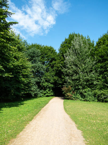 istock View to the path in park and trees 1336815352