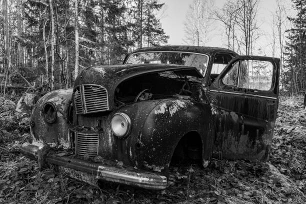 Plants and thorn bush tightly surrounding abandoned car