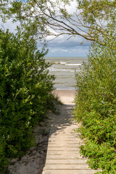 istock hidden beach access boardwalk leads through trees to a secluded beach 1336819102