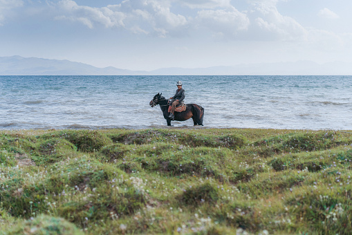 Brown horse standing on the shore of the Black Sea